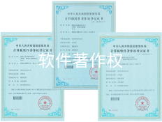《意滋尔健康管理平台》、《意滋尔数字生命平台软件》和 《意滋尔青春解码软件》等二十余项软件著作权