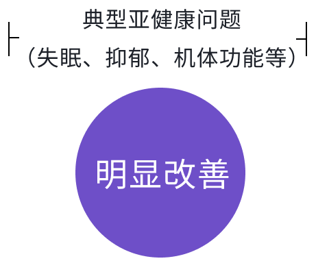 典型亚健康问题